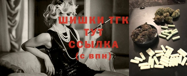 spice Березники