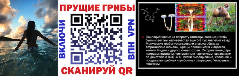 цены наркотик  Брянск  Псилоцибиновые грибы Psilocybine cubensis 