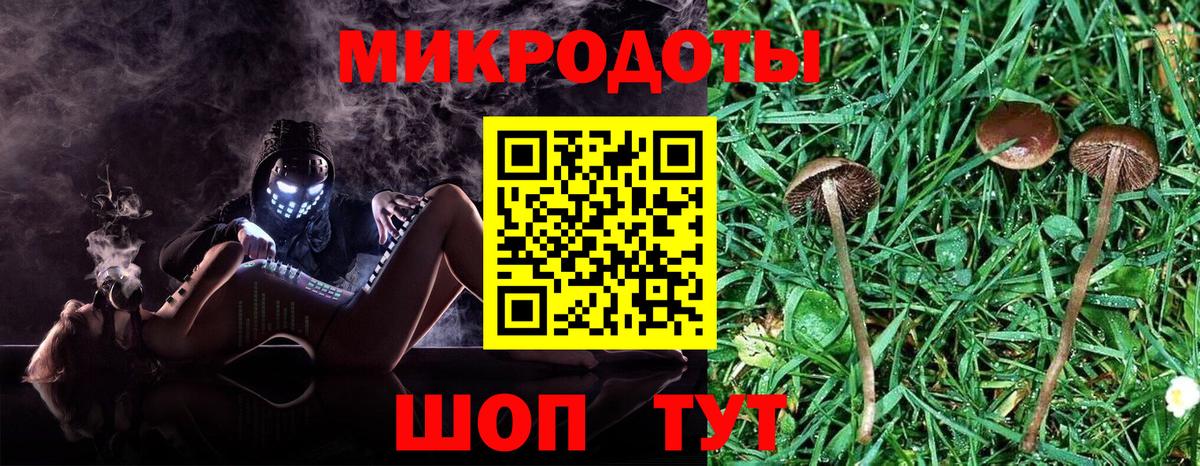 Галлюциногенные грибы Cubensis Брянск