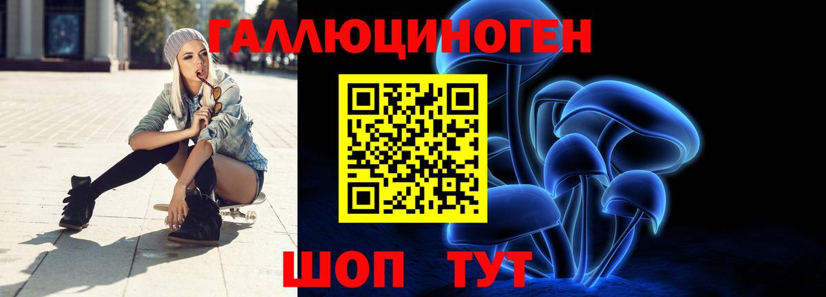 Псилоцибиновые грибы Cubensis Брянск